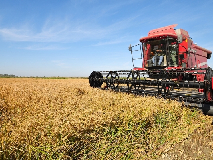 Астраханская область стала второй в России по показателям нацпроекта