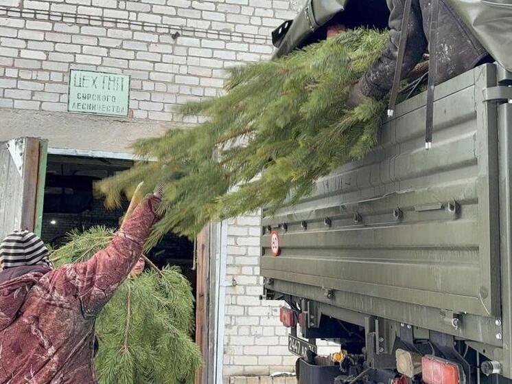 В Херсонскую и Запорожскую области из Ульяновска отправили 400 новогодних ёлок