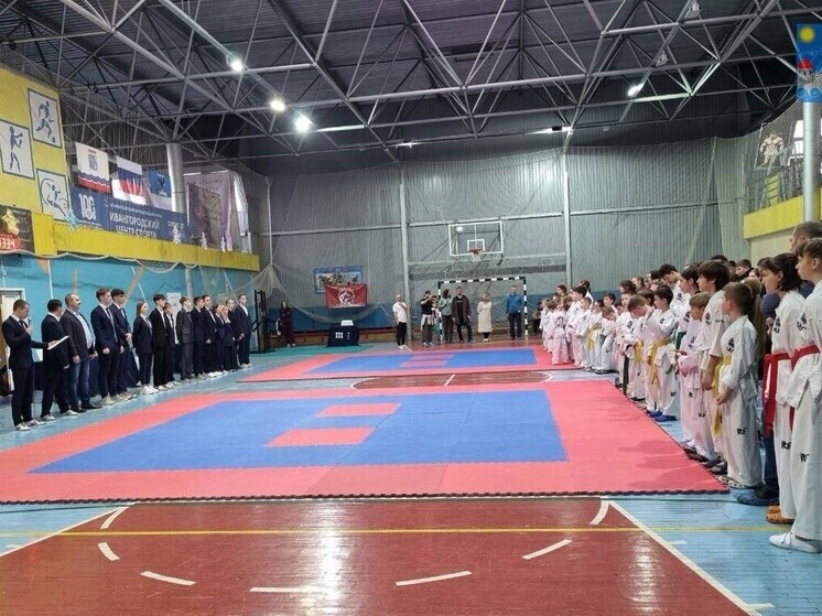 В Ивангороде прошел Кубок памяти барона Штиглица по тхэквондо