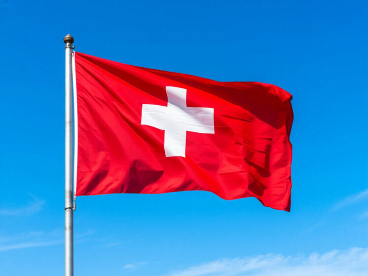 Швейцария расследует 18 дел о вступлении ее граждан в ВСУ