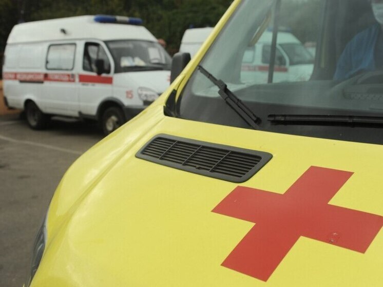 Тамбовская область получила «скорую» помощь: первая партия новых машин мчится в отдаленные села