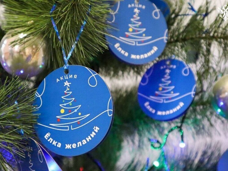 Ранее в Херсонской области, как и по всей России, стартовала акция «Ёлка желаний»