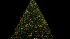 Гирлянды, шатер из лампочек и 450 елей: главную новогоднюю елку Правобережья зажгли в Астрахани