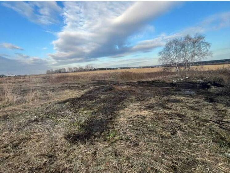 В Тульской области на землях Веневского района нашли стихийную свалку ТКО