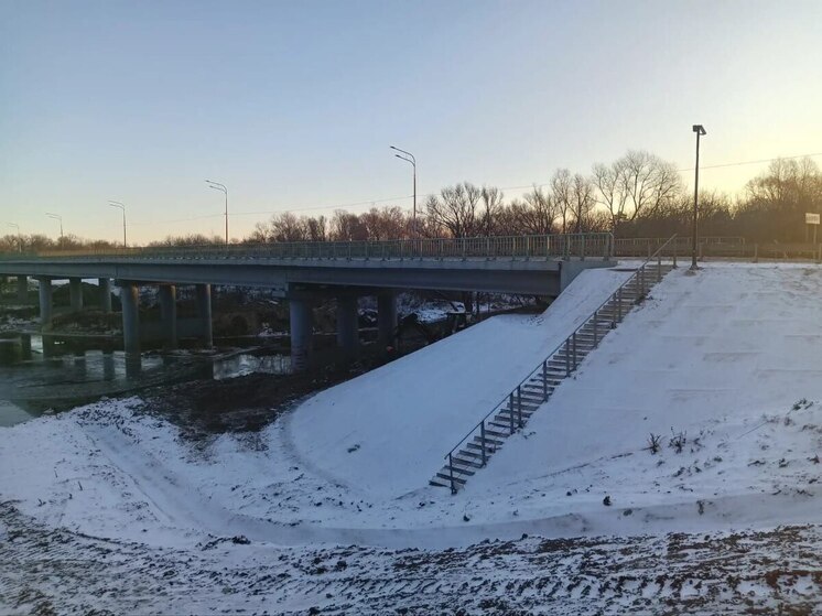 Берег взят под контроль: мост в Уварово усилен перед паводком