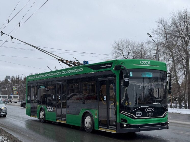 В Омске у "Городка Водников" оборвался провод троллейбусной контактной сети