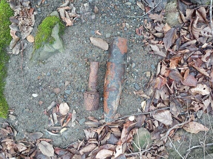 В Туапсинском районе обезвредили гранату и снаряд времен ВОВ