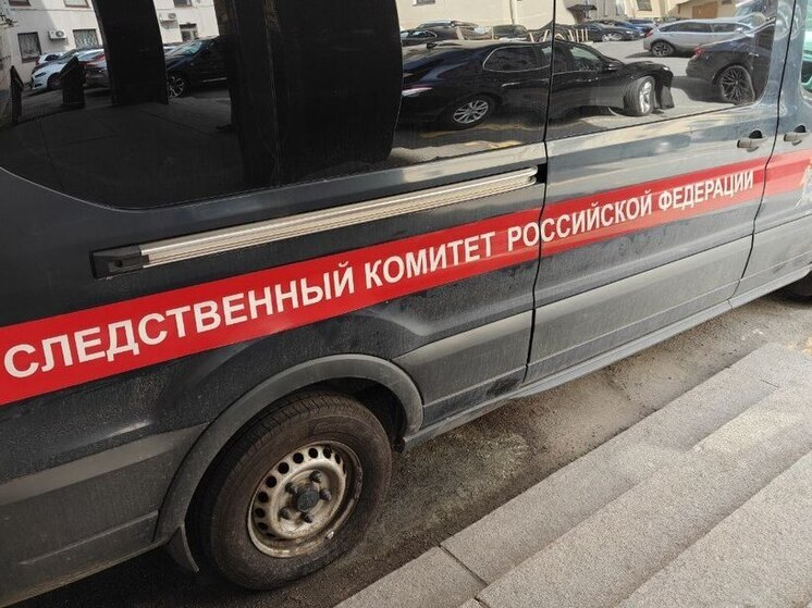 Бастрыкин ждет доклад по ДТП с «газелью» и ленинградскими школьниками