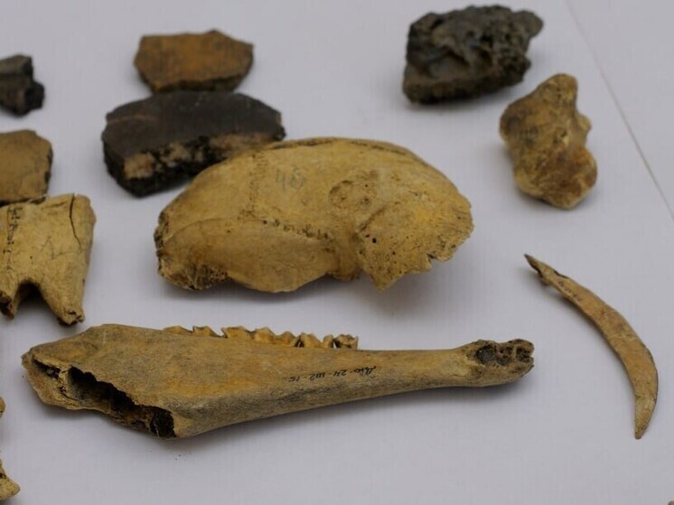 В Иркутской области за год обследовали 105 археологических памятников