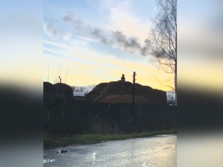 Под окнами жителей Котельнича выросла гора опилок в три этажа