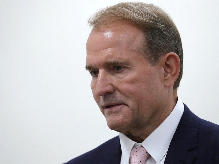 Медведчук: на Украине невозможно провести свободные выборы в неонацистском правовом поле