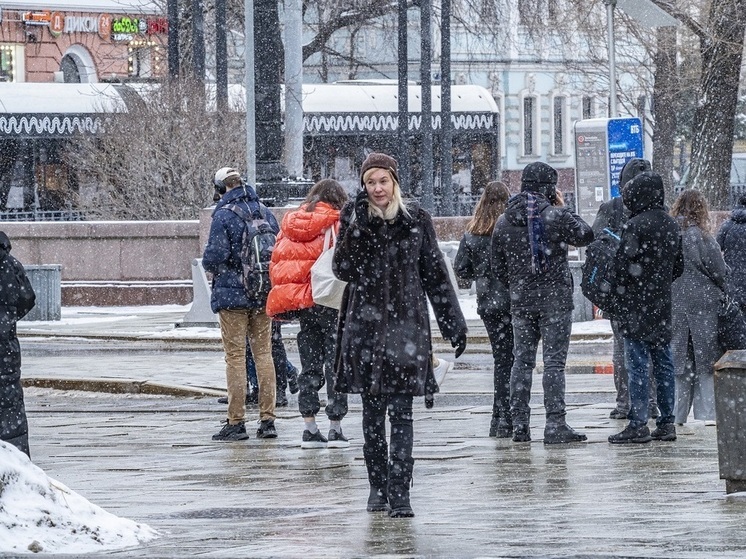 Вильфанд: морозная погода в Москве перед Новым годом сменится оттепелью