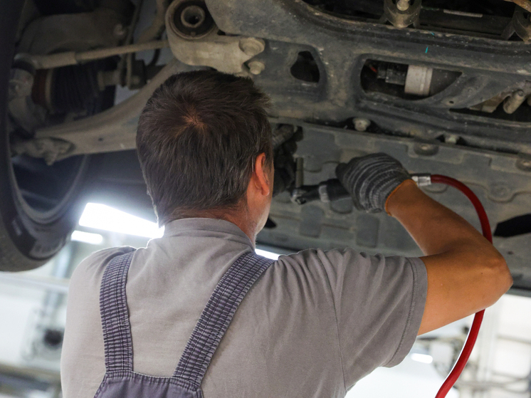 Общественник Ольшанский призвал ввести бесплатное ТО авто для многодетных семей