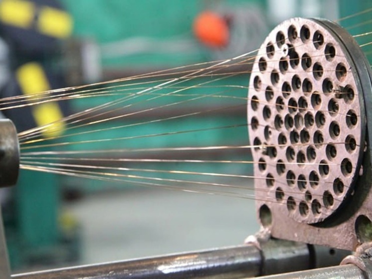 Правительство Псковской области поддержало восемь новых инвестиционных проектов