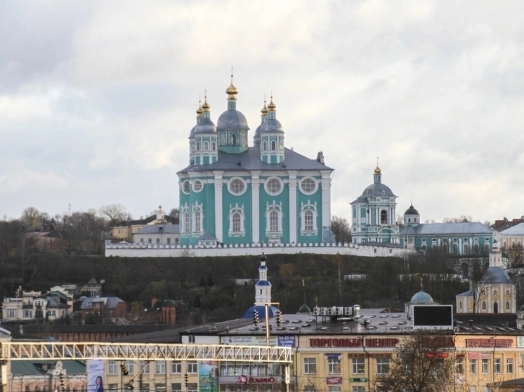 Глава Смоленска проведет объезд Заднепровского района в субботу