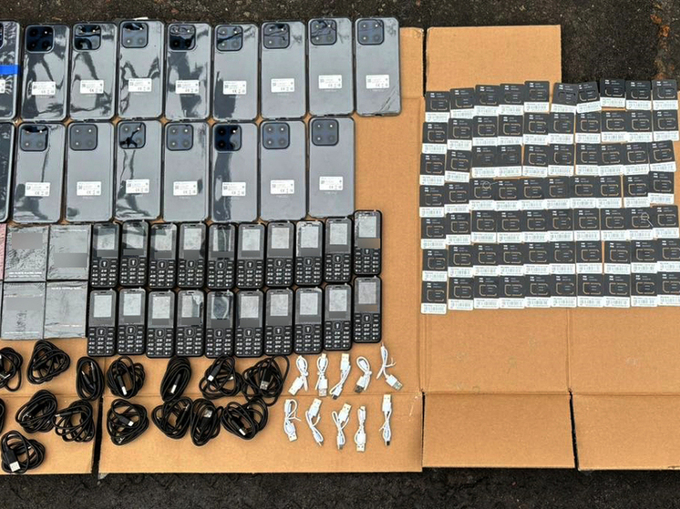 В исправительные колонии попытались провезти десятки телефонов в Тверской области