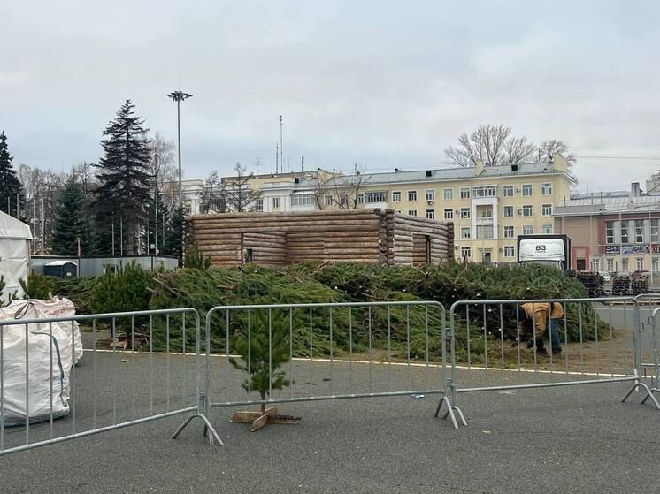 Жителям Самарской области рассказали, как законно срубить живую елку к Новому году