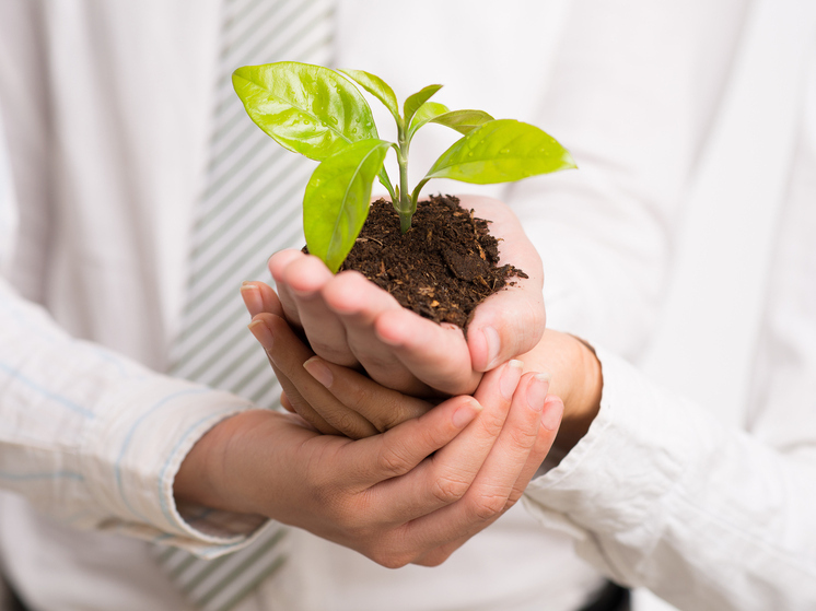 Поморье стало призером Национальной экологической премии