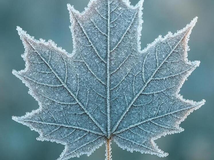 Синоптики 23 декабря прогнозируют в Смоленске ясную морозную погоду