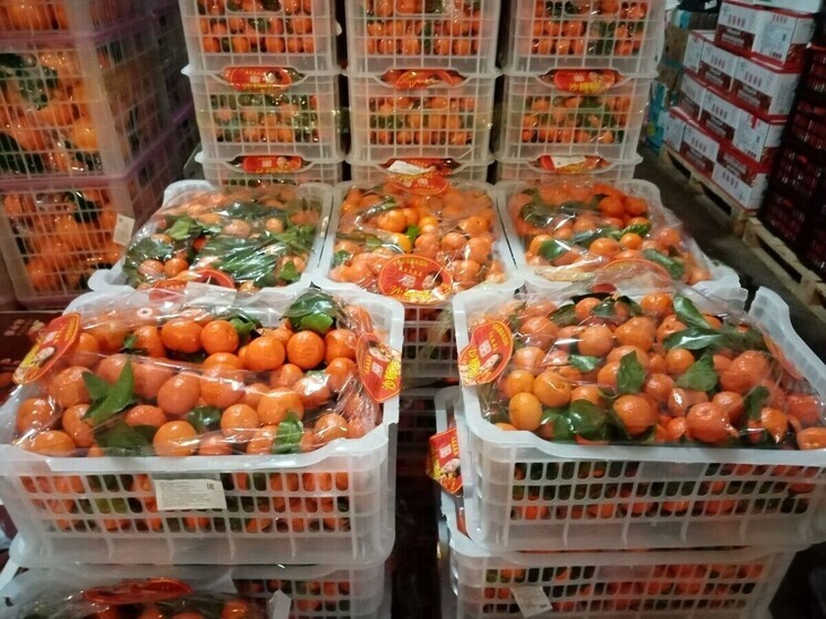 Более 250 тонн мандаринов привезли в Иркутск