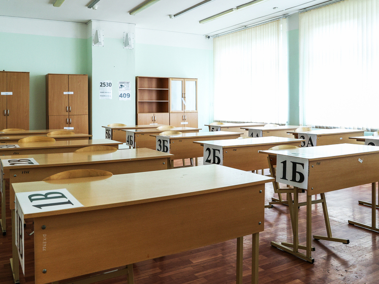 В Челябинской области более 100 школ перевели на удаленку из-за большого числа больных