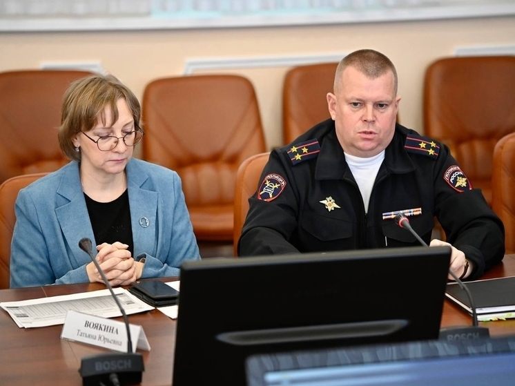 На тамбовских дорогах меньше жертв, но больше аварий: губернатор потребовал улучшить уборку снега