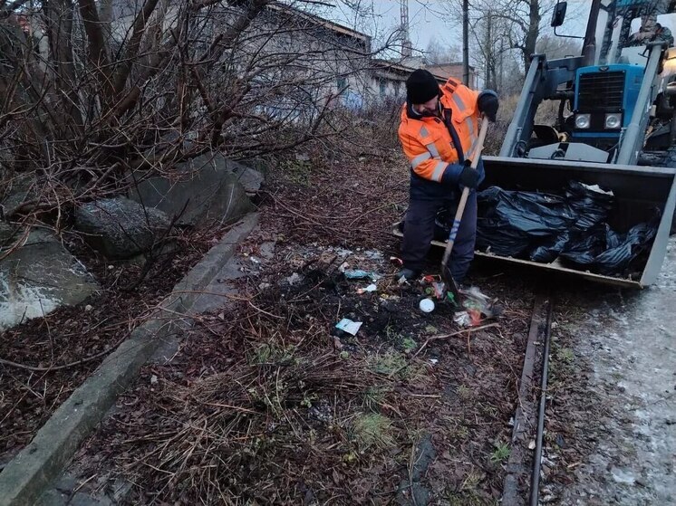 В ЦАО Курска ликвидировали очередную свалку