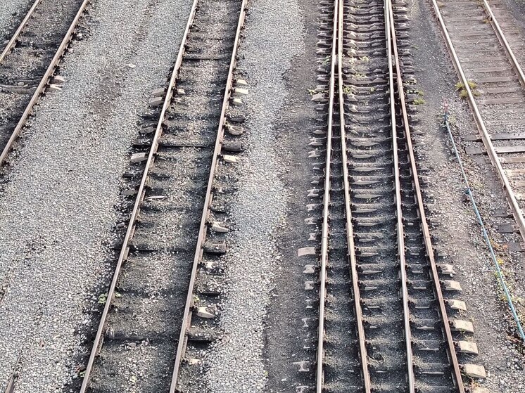 Мужчина погиб под колесами поезда у станции Новый Петергоф