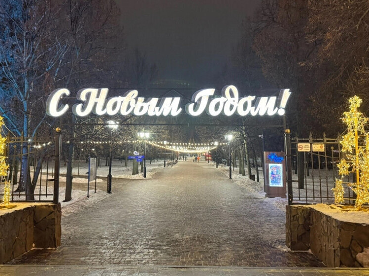 Новогодний подарок: многодетные семьи Тамбова получат бесплатные билеты на аттракционы