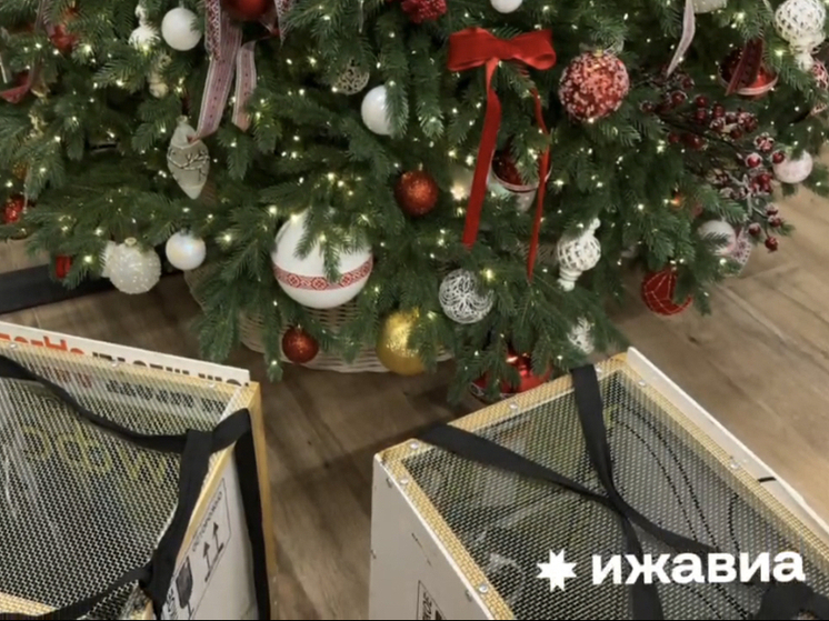 Двое сочинских пингвинов улетели в Ижевск в салоне самолета