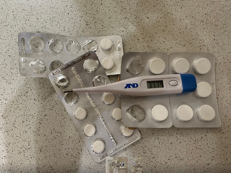 Заболеваемость гриппом и ОРВИ в Новгородской области выросла на 16,8%