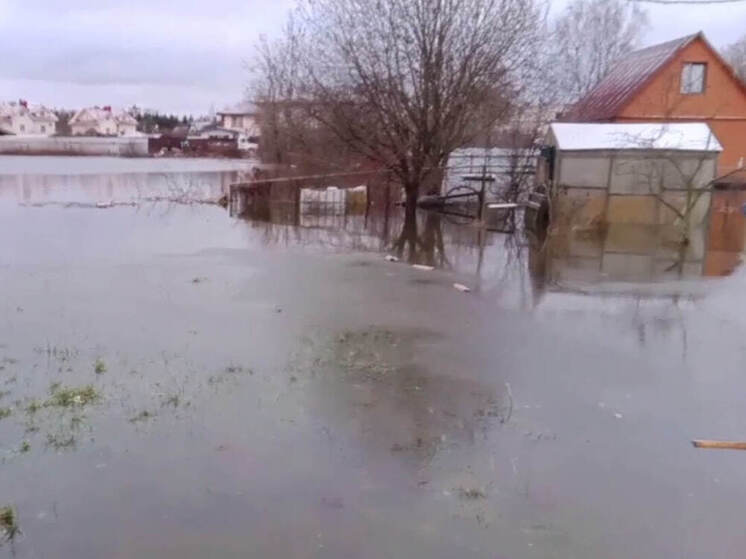 Жители подтопленных участков во Всеволожском районе отказались от помощи