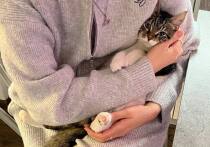 Психолог Алексей Харламов заявил «МК в Ленобласти», что нет ничего удивительного в симпатии к детям и детенышам животных. Эти реакции являются генетически запрограммированными.