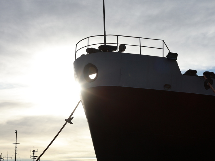 В Мурманской области ищут подрядчика для подъема дока ПД-50