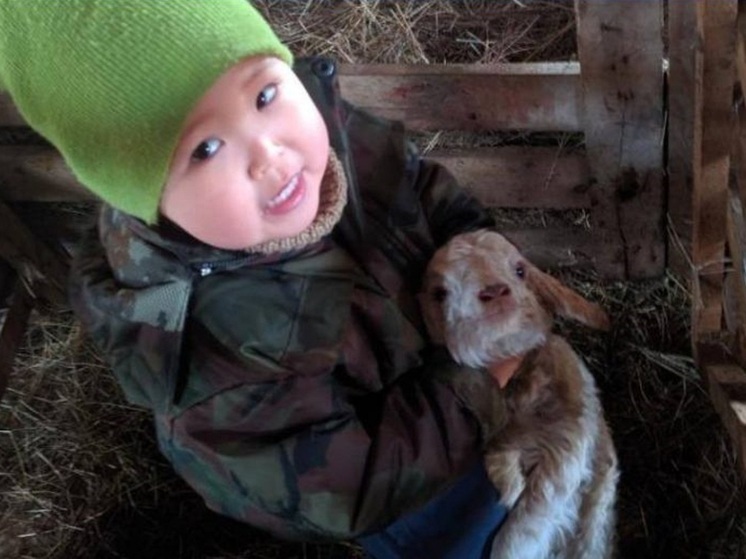 В Калмыкии определили лучшие семейные хозяйства