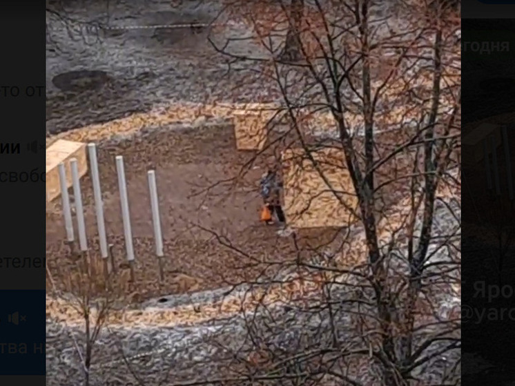 В Ярославле администрация района спрятала глюкофон и поющие грибы в коробки