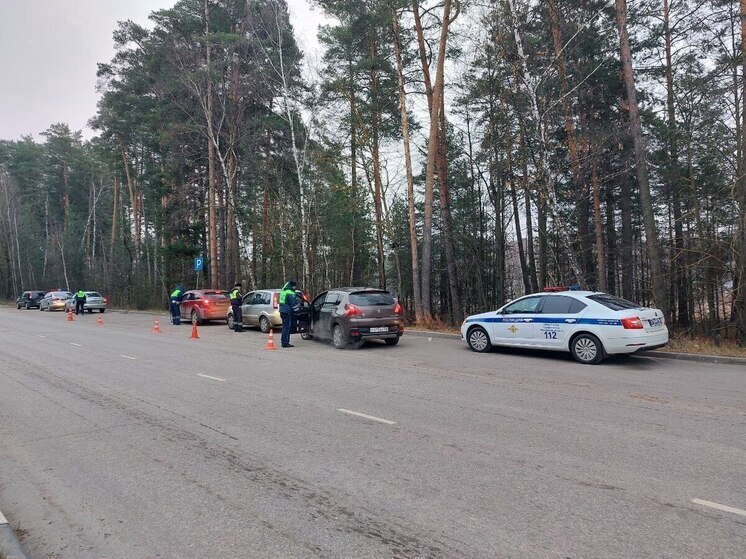 Серпуховская ГИБДД проводит рейд по детской безопасности