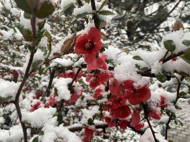 Снег ожидается в Крыму на этой неделе