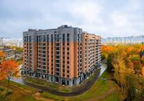 Завершающийся 2025 год обещает стать наиболее продуктивным за все время по реализации программы реновации