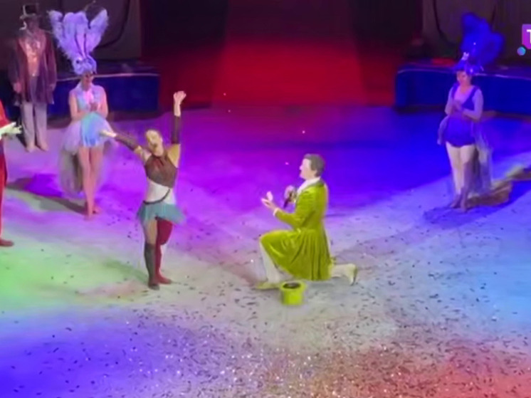 Любовь на высоте: цирковое предложение в Тюмени