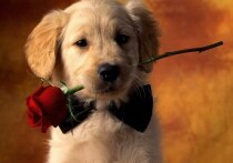 Дни рождения 23 декабря