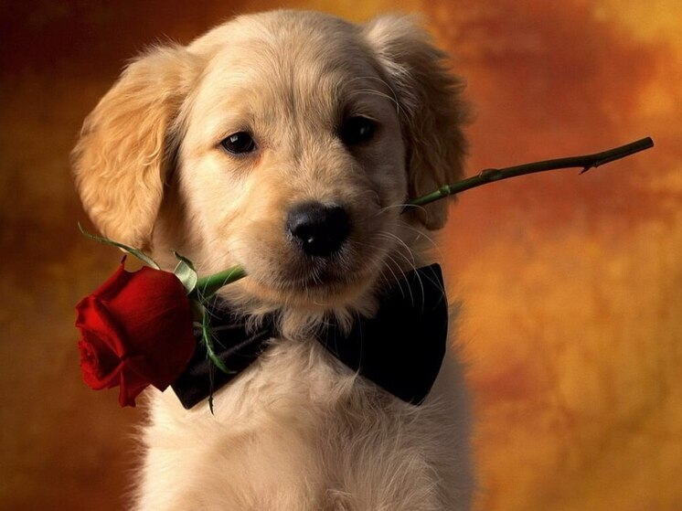 Дни рождения 23 декабря