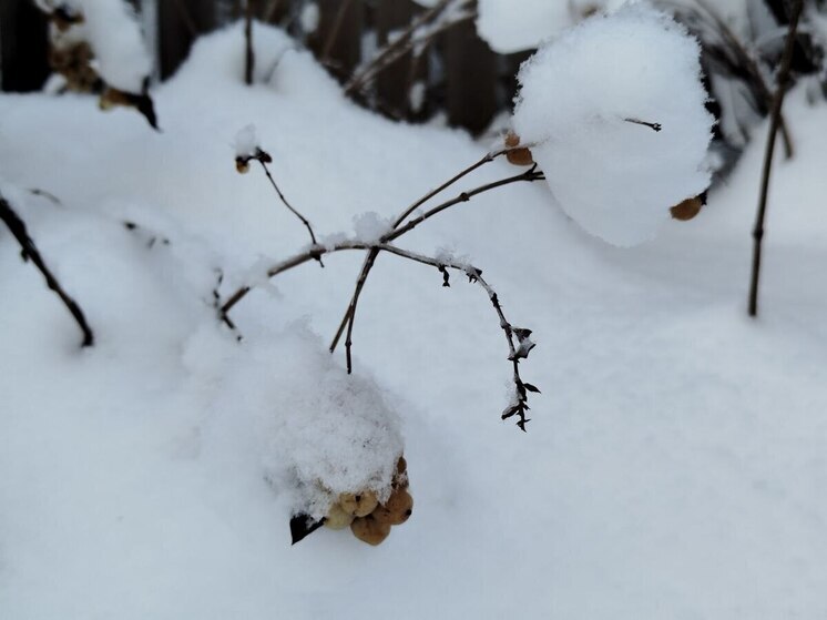 Синоптики предупредили жителей Хакасии, что хорошей погоды ждать не стоит