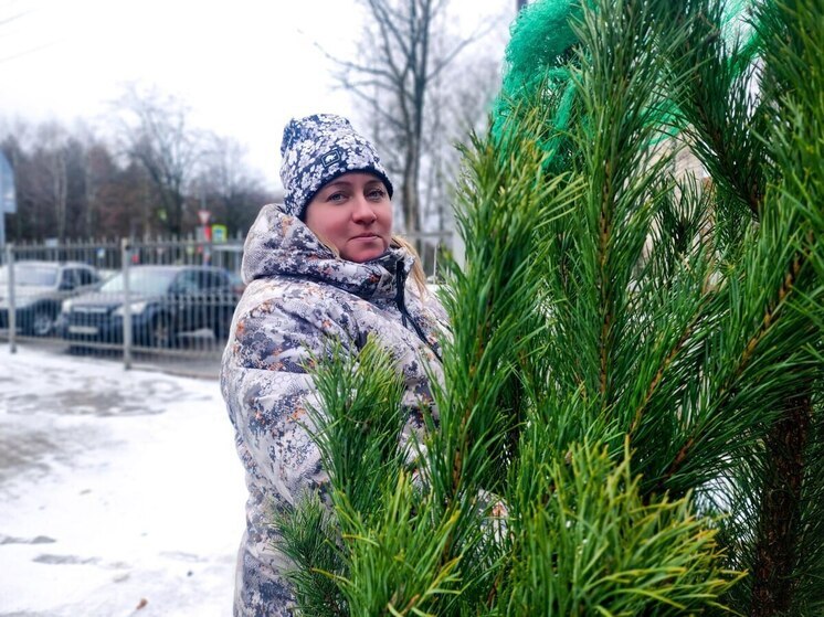 В Большом Серпухове открылся ёлочный базар с деревьями из семейного питомника