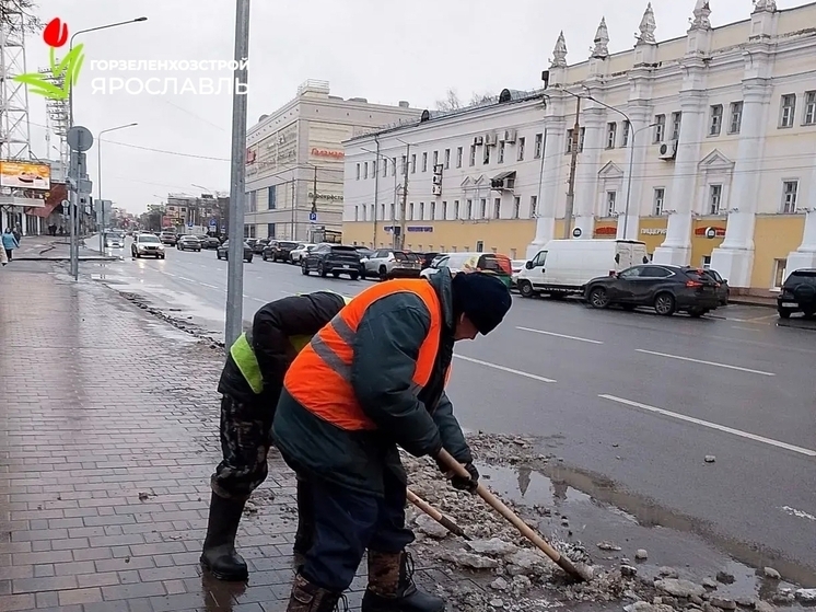 Ярославцы прокомментировали разъяснение «Горзеленхозстроя»