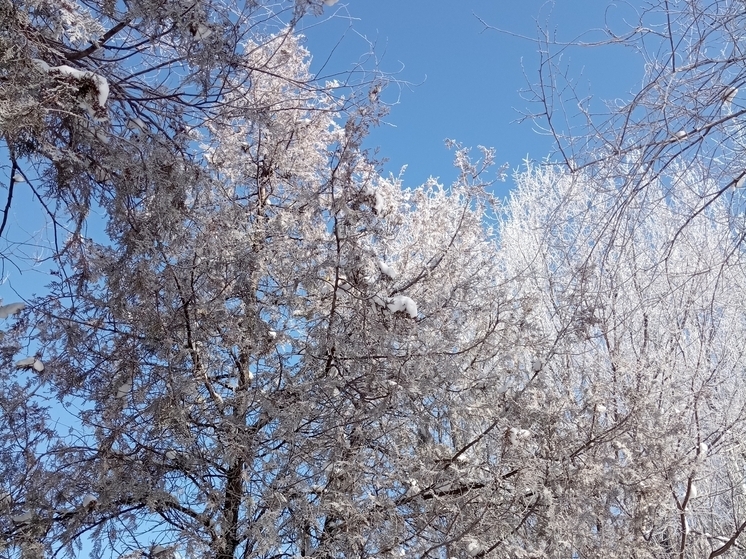 Сила магнитной бури 23 декабря составит 5 баллов: нежелательно начинать новые дела