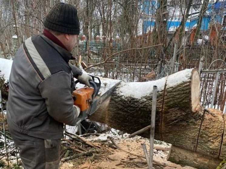 В Курске завершают уборку Никитского кладбища после урагана