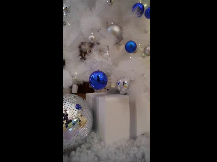 Алексей Текслер исполнил новогодние желания детей из ДНР