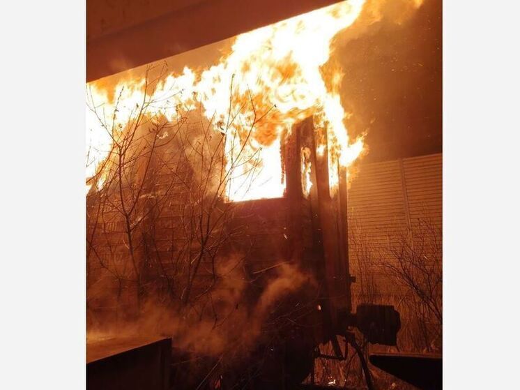 Во Мге потушили пожар возле железной дороги