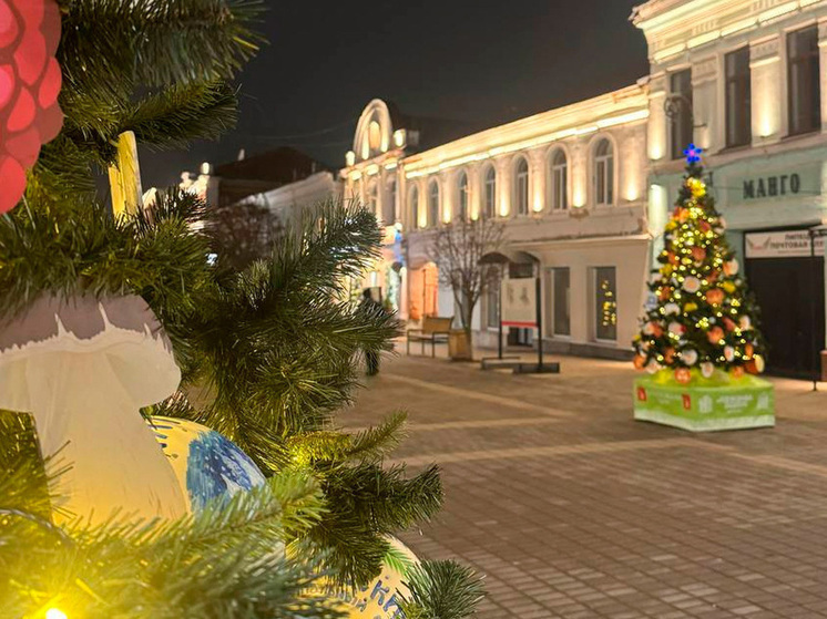 Вячеслав Жабин оценил праздничное оформление Ельца и аллею муниципальных елок